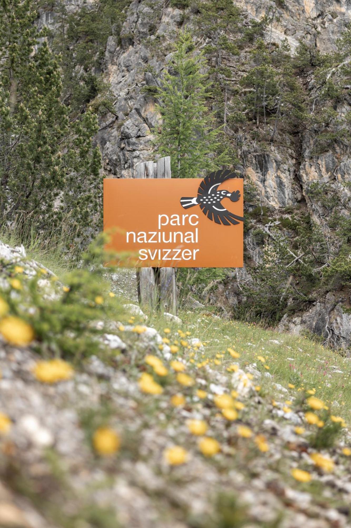 Hotel Baer & Post Zernez